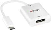 Lindy - Externer Videoadapter - USB-C 3.1 - DisplayPort - weiß