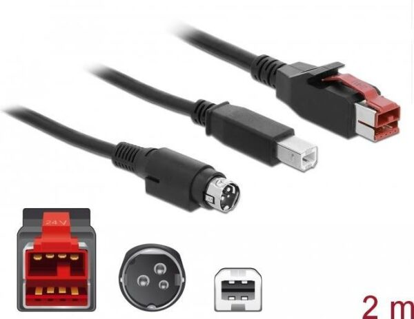 DeLOCK - Powered USB-Kabel - USB PlusPower (24 V) (M) bis USB Typ B