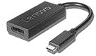 Lenovo USB-C to DisplayPort Adapter - Externer Videoadapter - USB-C - DisplayPort