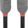 Lindy Anthra Line - DisplayPort-Verlängerungskabel - DisplayPort (M) bis DisplayPort (W) - DisplayPort 1