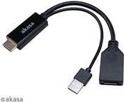 Akasa HDMI zu DisplayPort Adapater Kabel - schwarz - Kabel - Digital/Display/Video HDMI-Kabel 250 m HDMI Typ A (Standard) (AK-CBHD24-25BK)
