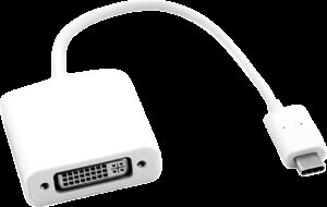 ROLINE - Externer Videoadapter - USB Type-C - DVI - Silber