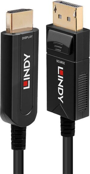 Lindy - Video- / Audiokabel - DisplayPort (M) bis HDMI (M) - 10