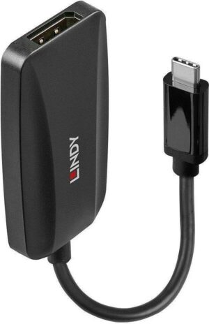 Lindy - Videoadapter - USB-C (M) zu DisplayPort (W) - DisplayPort 1