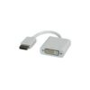 ROLINE DisplayPort-DVI Adapter