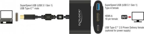 DeLOCK - Externer Videoadapter - VL101 - USB-C 3