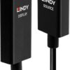 Lindy - Videokabel - DisplayPort / HDMI - DisplayPort (M) bis HDMI (M) - 1