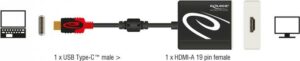 DeLOCK - Externer Videoadapter - RTD2171U - USB-C - HDMI - Schwarz - Einzelhandel (62999)