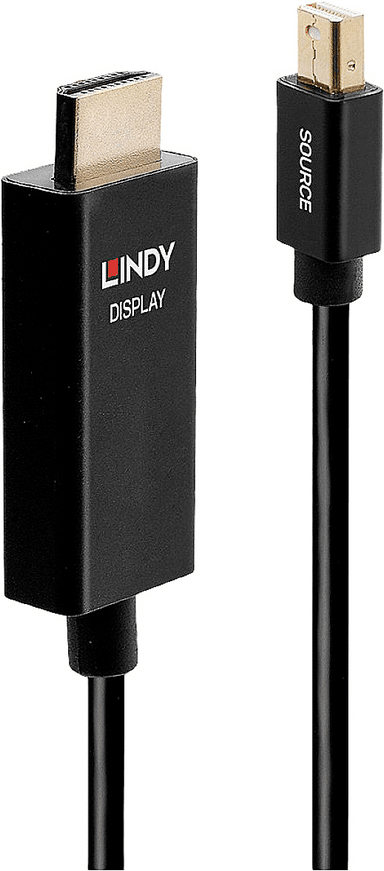 Lindy - Videokabel - DisplayPort / HDMI - Mini DisplayPort (M) bis HDMI (M) - 1
