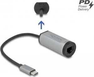 Delock - Netzwerkadapter - USB-C 3.2 Gen 1 / Thunderbolt 3 - Gigabit Ethernet x 1 - Grau