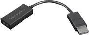 Lenovo - Video- / Audio-Adapter - DisplayPort / HDMI - DisplayPort (M) bis HDMI (W) - 22.5 cm - Schwarz - 4K Unterstützung - für ThinkCentre M710