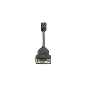 HP - DVI-Kabel - DisplayPort (M) zu DVI-D (W) - 19 cm - für Elite 600 G9