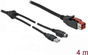 DeLOCK - Powered USB-Kabel - USB PlusPower (24 V) (M) bis USB